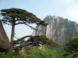 A three-day Trip to Yellow Mountain