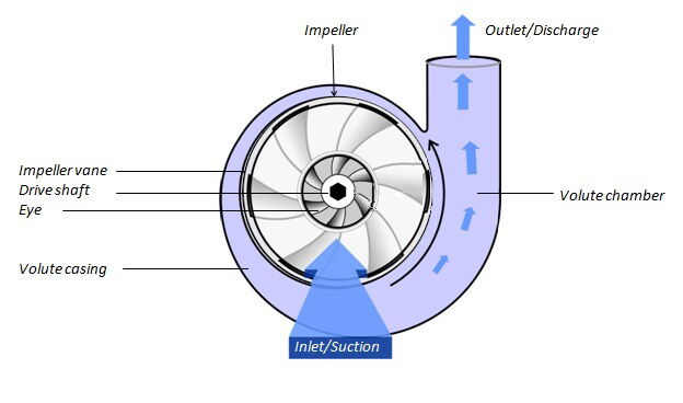 Working Principle of Centrifugal Pumps