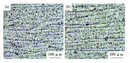 Metallographic structure of SA-106B steel pipe