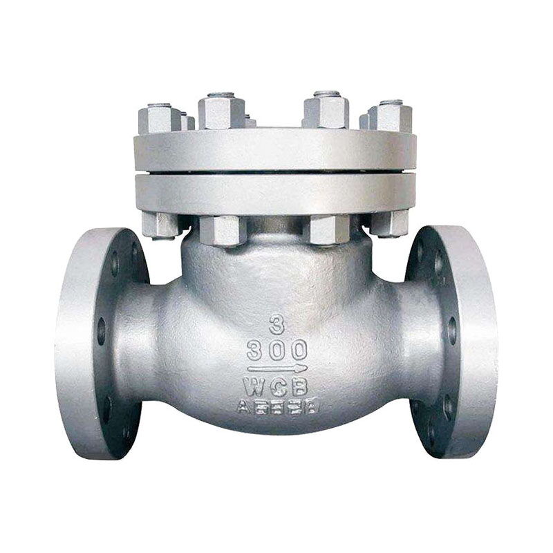 Check Valves