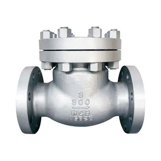 Check Valves