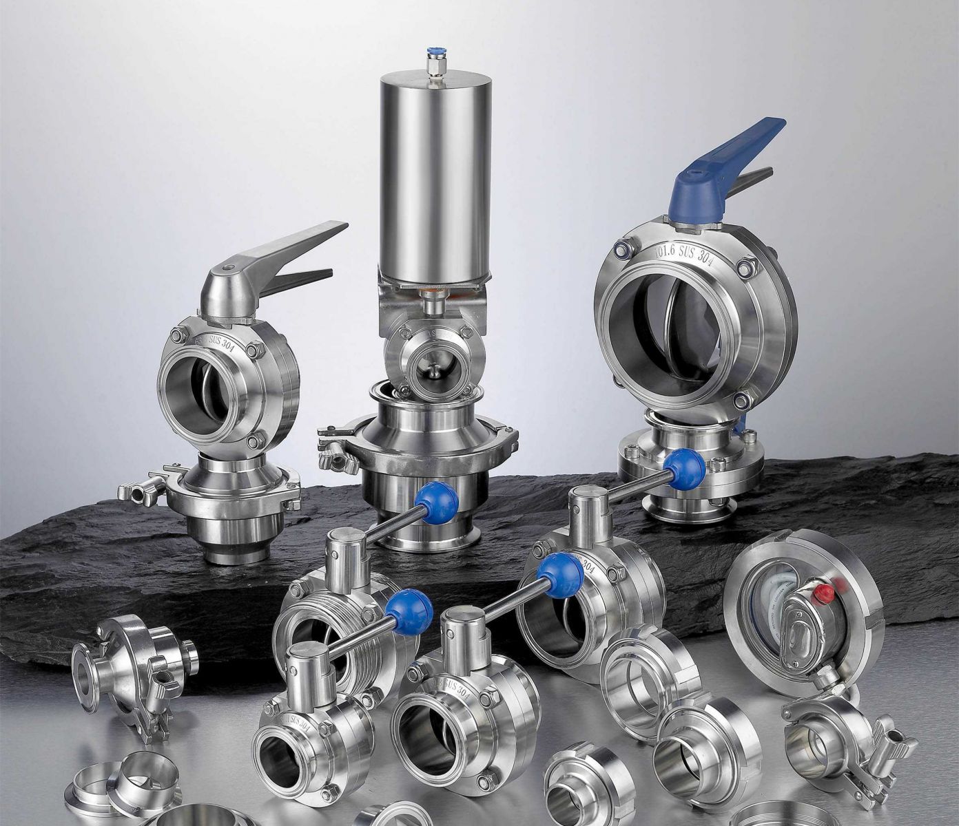 High Precision Sanitary Valves - Landee