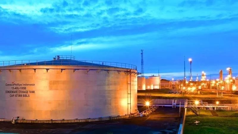 General purpose valve applications in the petrochemical industry