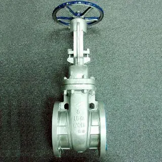 Stainless Steel Gate Valve