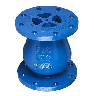 Axial Flow Check Valve: Design, Function and Applications