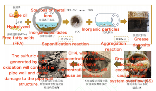 Sources and hazards of FOGDs