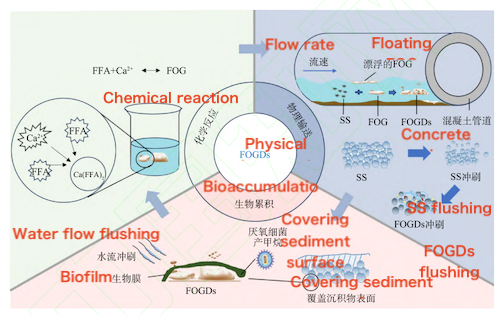 The formation mechanism of FOGDs