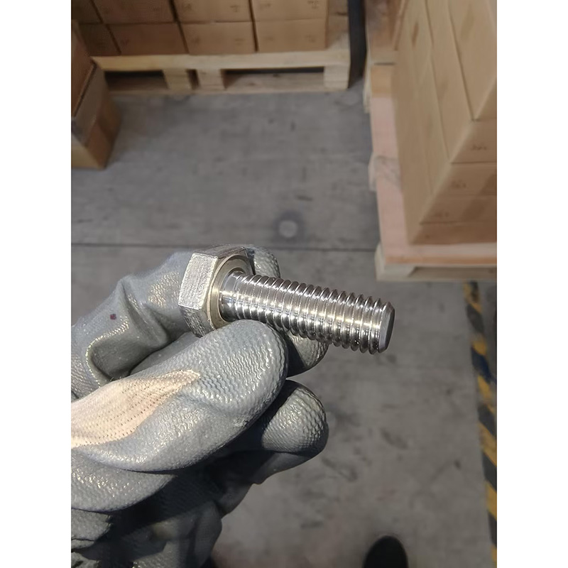 ASTM A193 Grade B8M Hex Head Bolt