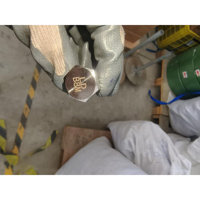 Hex Head Bolt & Nut, ASTM A193 B8M, A194 8M, 1/2 * 1-1/2 IN