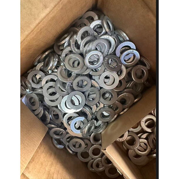 SS 316 Flat Washers