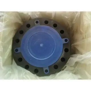 Carbon Steel ASTM A105 Blind Flange, ASME B16.5, 10 IN, CL600