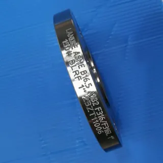 ASME B16.5 Blind Flange, ASTM A182 F316/F316L, 1 IN, 150 LB