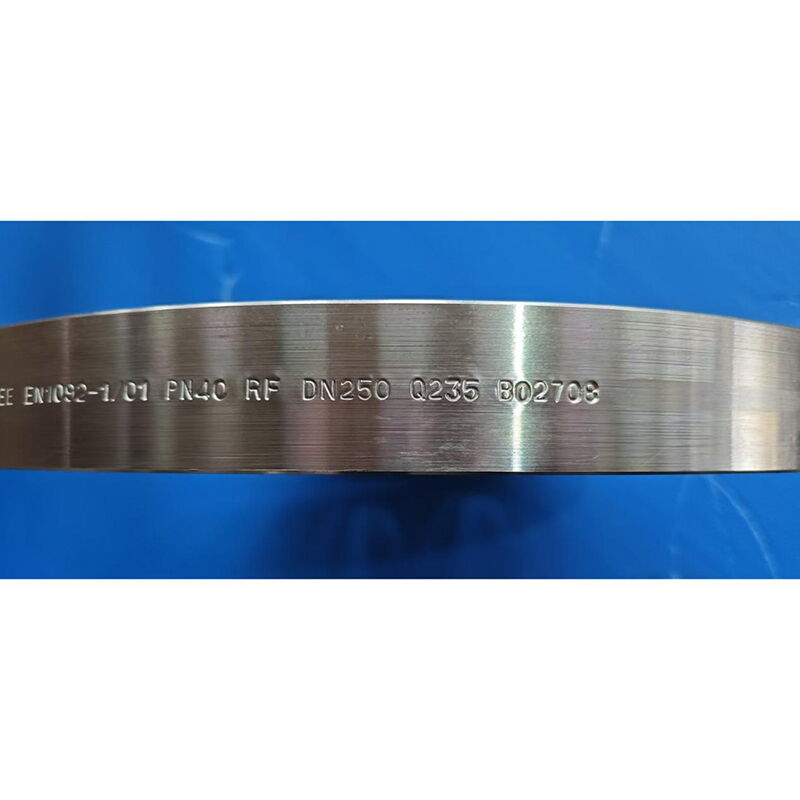 EN 1092-1 Type 01 Plate Flange, Q235B Steel, DN250, PN40, RF