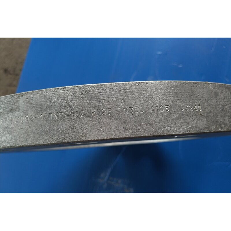 Hot Dip Galvanized Carbon Steel ASTM A105 Forged Flange