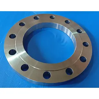 EN 1092-1 Type 01 Plate Flange, Q235B Steel, DN250, PN40, RF