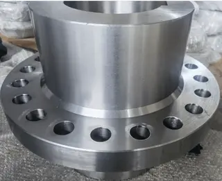 AISI 1045 Flange