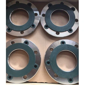 Interface Flange, A182 F304, PN16, DN50, DIN 2501
