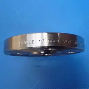 ASTM A182 F304L SW Flange, Class 300, 1 Inch, SCH 40, RF Ends