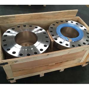 ASME B16.5 Welding Neck Flange, SCH80, 10 Inch, 900LBS