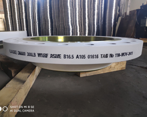 ANSI B16 Flange