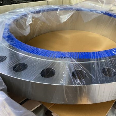 ASTM A182 F316 F316L Weld Neck Flange, 20 Inch, 300 LB