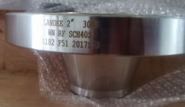 Forged Steel WN Flanges