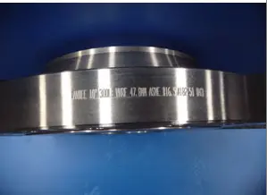 ASTM A182 F51 Weld Neck Flange, ANSI B16.5, Class 300, 10 Inch