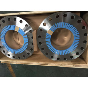 Welding Neck Flange, A182 F304L, 10IN, 900LBS, RF