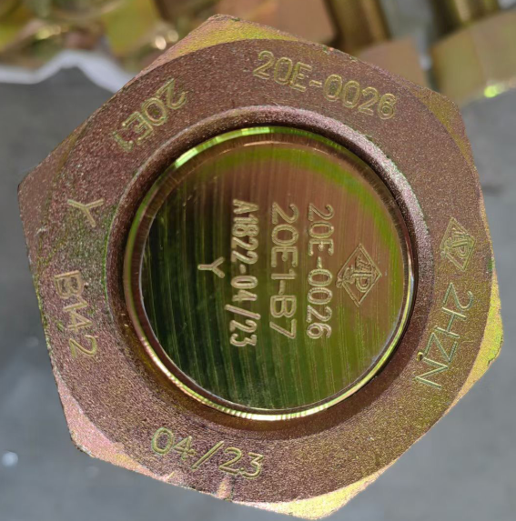 API 20E Bolting