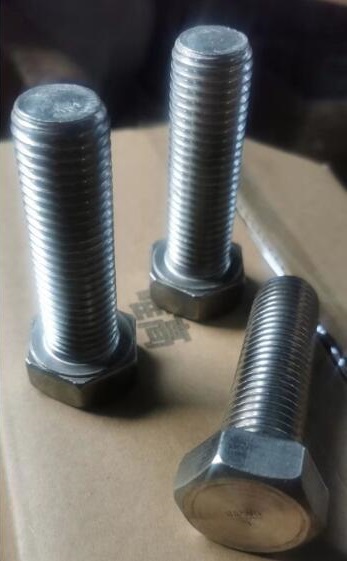 SS 304 Hex Head Bolts