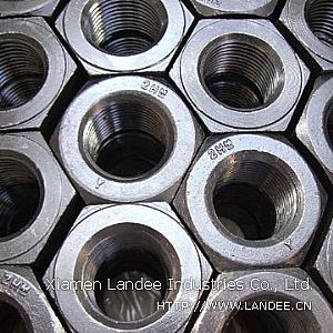 Carbon Steel Nuts