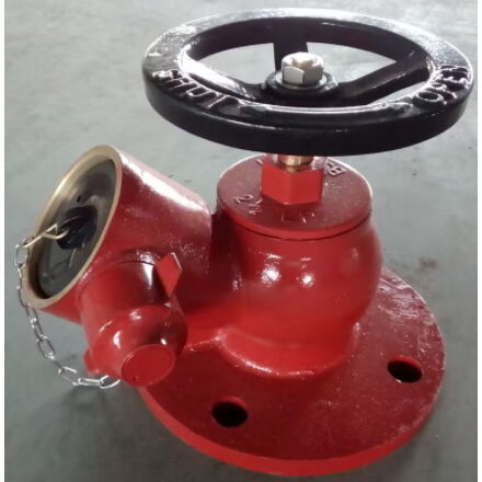 Hydrant Landing Valve, 2-1/2 Inch, Class 150 LB, WT SCH 40