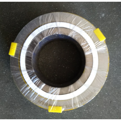 Graphite Filled SPWD Gasket, ASME B16.20, SS 304 IR, 2 Inch