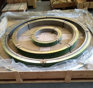 Stainless Steel SPW Gasket