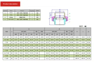PVDF Unions