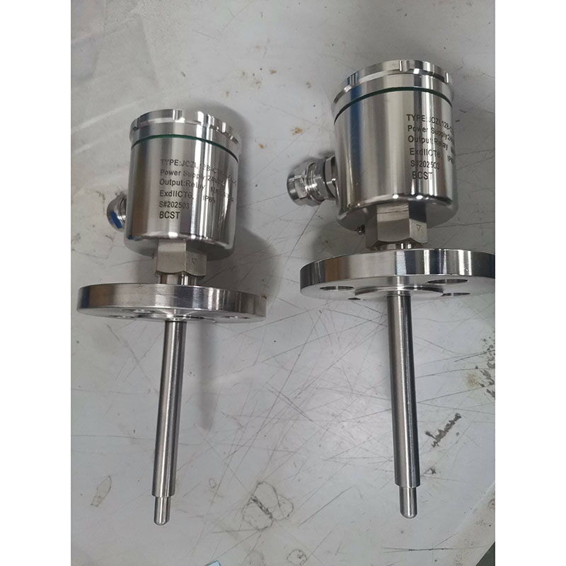 Customized Level Switch, 24 VDC, 5A, DN40, 105 mm Long, IP65