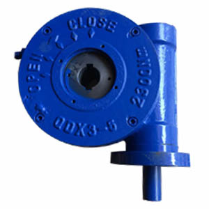 Ductile Iron Butterfly Valve Gear Box, 10 Inch