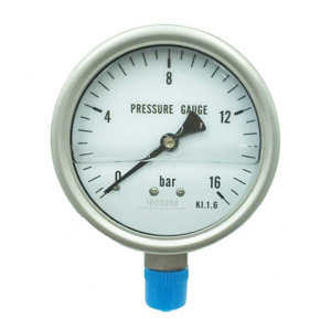 Stainless Steel 304 Pressure Gauge, 4 Inch, IP64, DN100