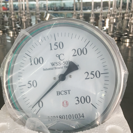 Temperature Gauge, 1/2 Inch, 100 MM Case