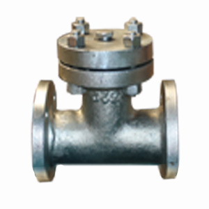 T-type Straight Strainer, ASTM A105, 2 Inch, 150#
