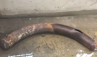 Carbon Steel LSAW Bend, Bursting Test