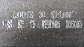 A860 WPHY 65 Elbow
