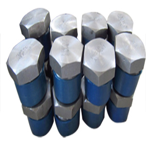 ASTM A105 Hexagon Head Plug, 2 Inch, 2000 LB, NPT