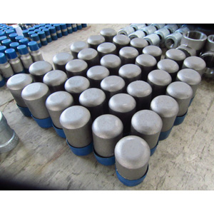 ASTM A105 Plug Head Bull, SCH 80, 2 Inch, NPT Ends