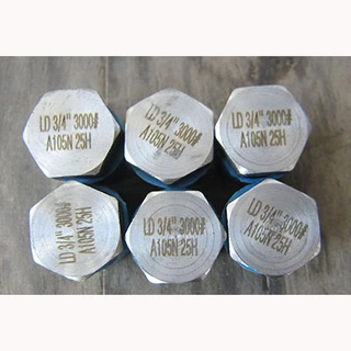 ANSI B16.11 Hex Head Plug, ASTM A105N, 3/4 Inch, 3000 LB, NPT
