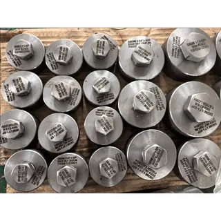 P355GH Half Coupling & Hex Head Plug, 1/2 Inch, CL3000, BSPP