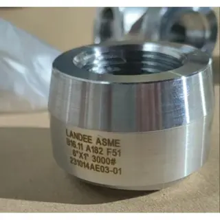 ASTM A182 F51 Threadolet, ASME B16.11, 1 * 6 IN, CL3000, NPT
