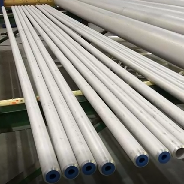 ASTM A312 TP316/316L Pipe, Seamless, ASME B36.19M, 2 Inch