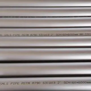 ASTM A790 S31803 S32205 Seamless Pipe, 6 Inch, SCH 160
