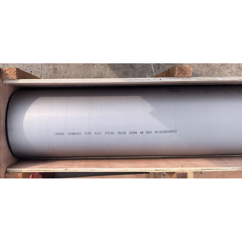 ASTM A312 TP316L Seamless Pipes, SS, DN250, 6 Meters, SCH 40